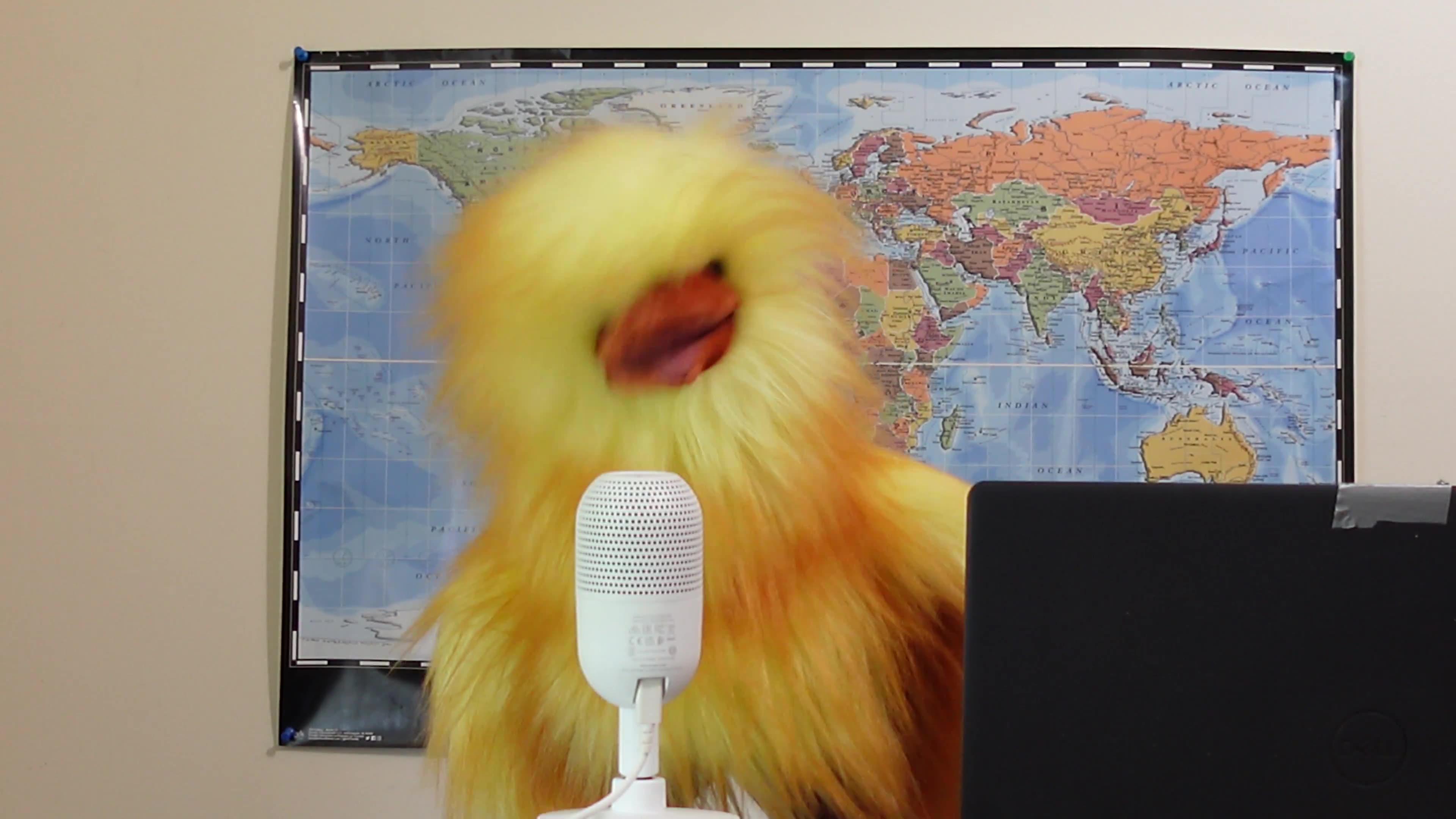 From overseeing the SDTC (green slush fund) Scandal to new Finance Minister Champagne...