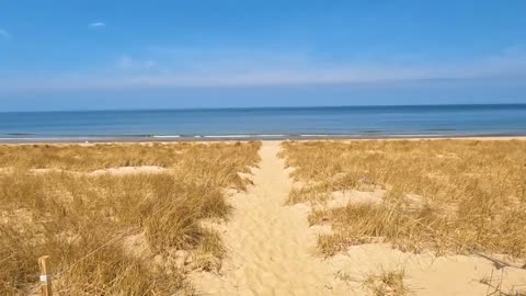 Immersive Beach Ambience