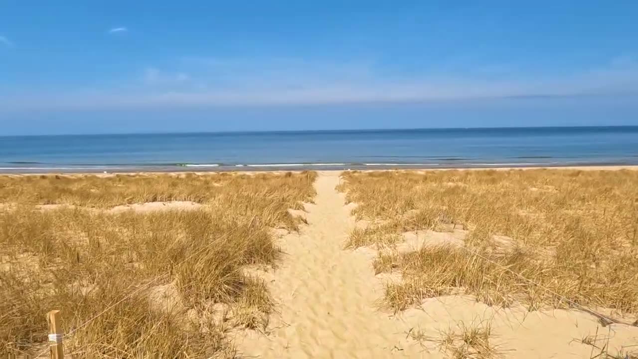 Immersive Beach Ambience