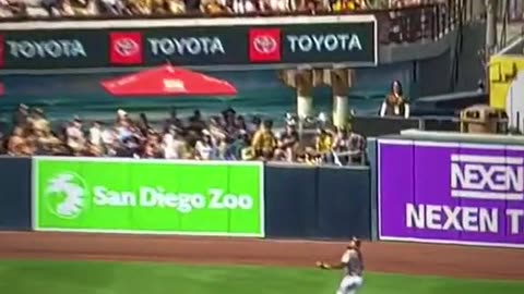 Fernando tatis j.r in defense