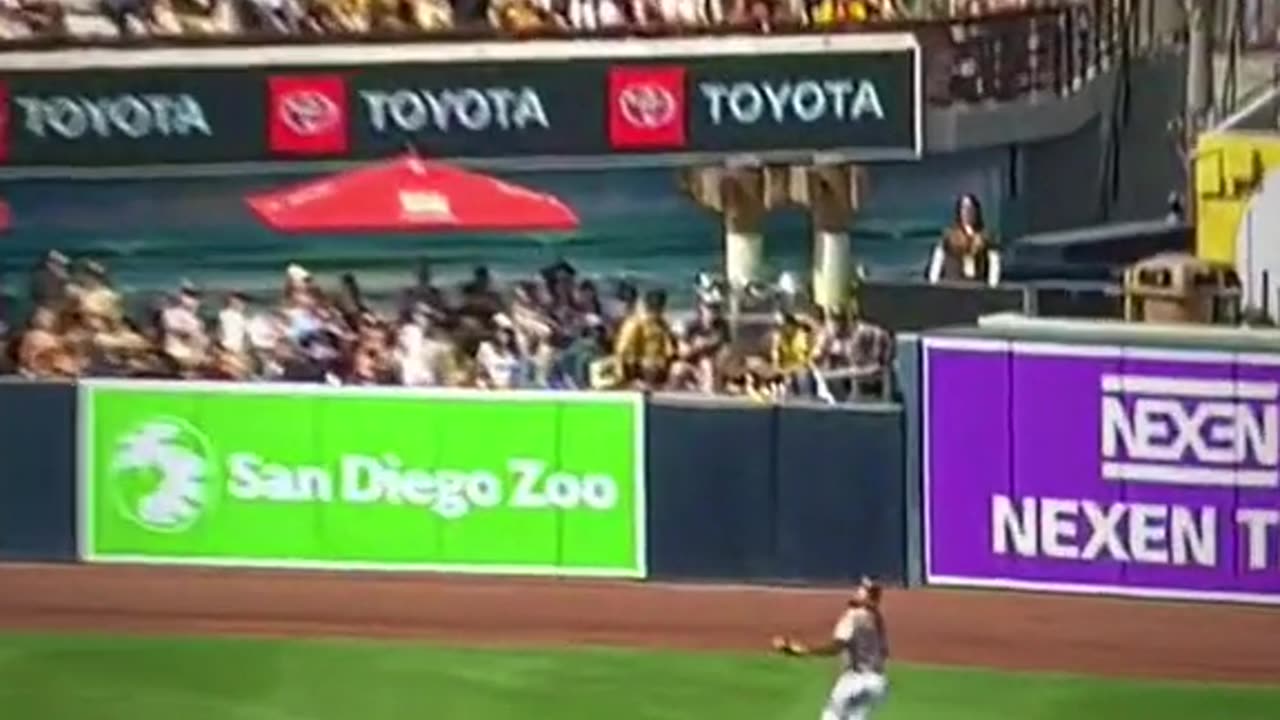 Fernando tatis j.r in defense