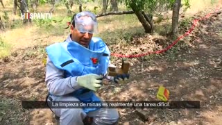 Huéspedes no invitados - P 1