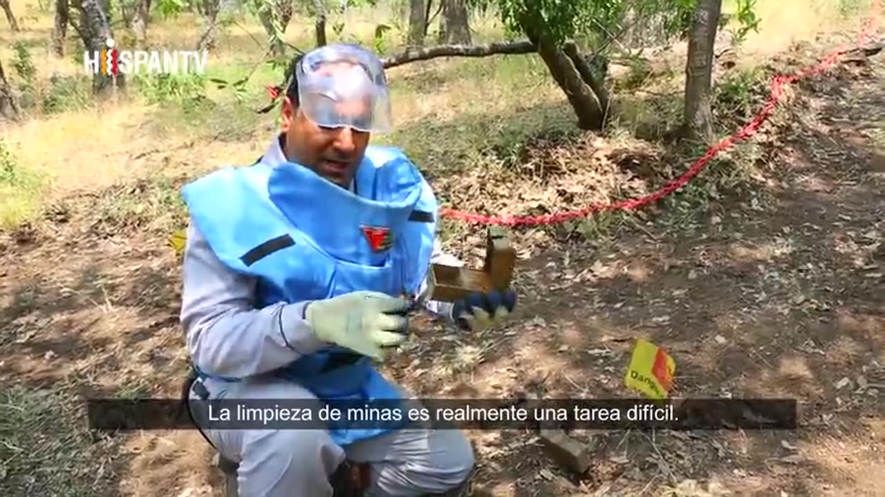 Huéspedes no invitados - P 1
