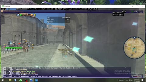 Playing Final Fantasy XI Online