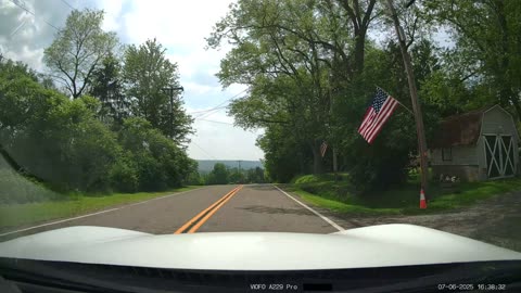Deer Activates Ragdoll Physics Over Car Hood