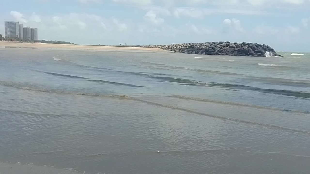 Walking and filming the beach on a sunny day, the waves were calm [Nature & Animals]