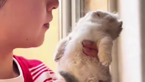Little dogs comedy Videos 🤣 so cute videos 😍 funny videos in puppies comedy scenes 😂