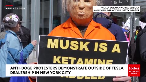 Anti-DOGE Protesters Rally Outside New York City Tesla Dealership, Leading to Multiple Arrests