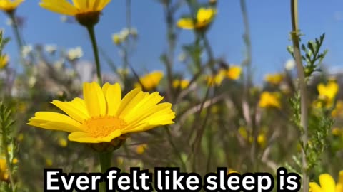 Pregnancy Sleepless Facts#ElderCare 🧓 #SleepTips 😴 #CalmNights 🌙 #RestEasy 🛏️ #GoldenYears 🌟