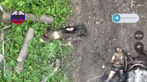 Ukraine war combat footage 7/6/25