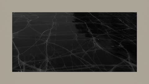 Taylor Swift - The Bolter (Official Lyric Video)