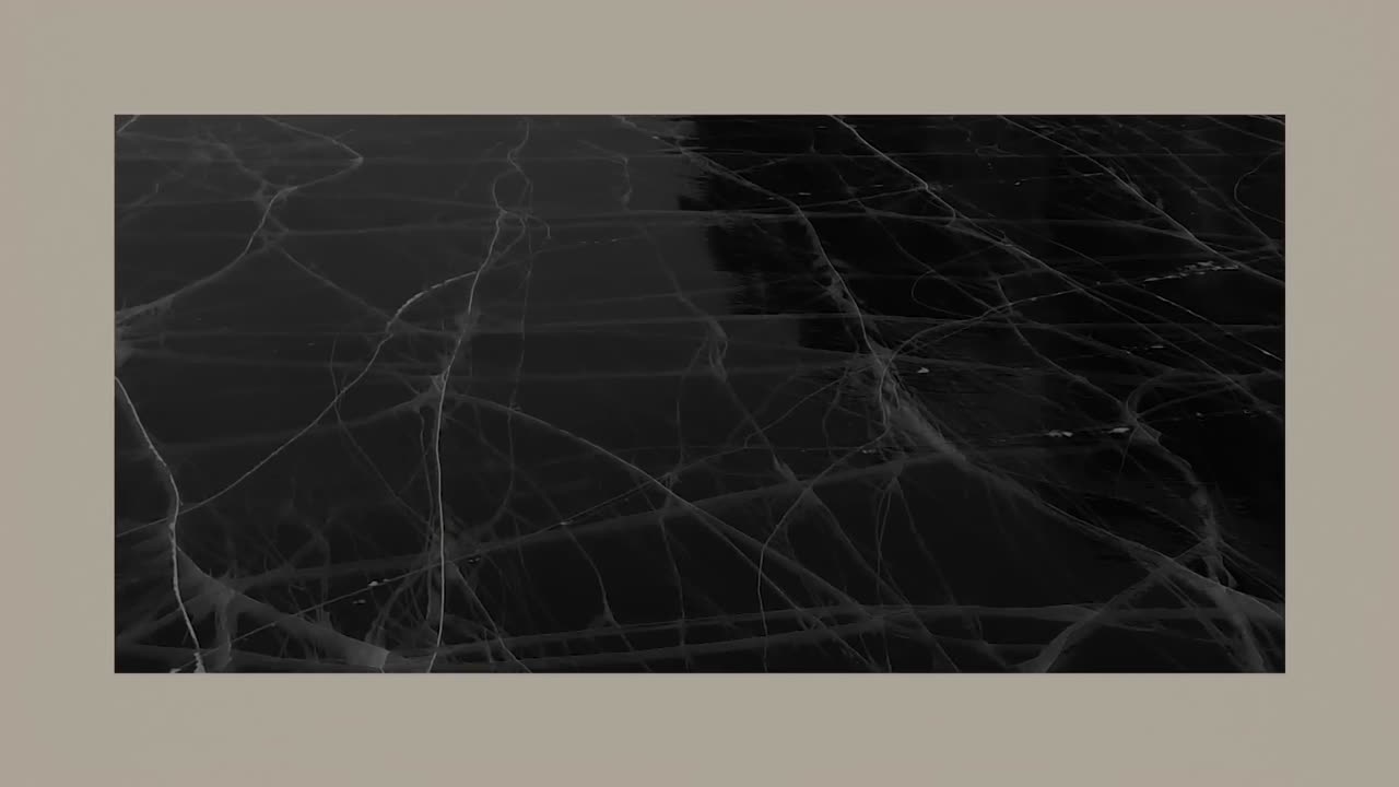 Taylor Swift - The Bolter (Official Lyric Video)