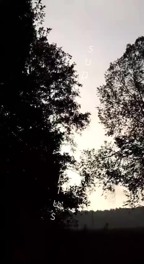 🇵🇱 Nagranie z Lublina, zestrzelenie rosyjskiego drona.