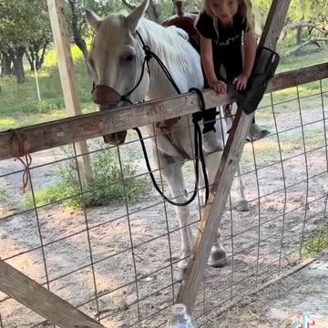 “THE HORSE THAT LOVED MY DAUGHTER”