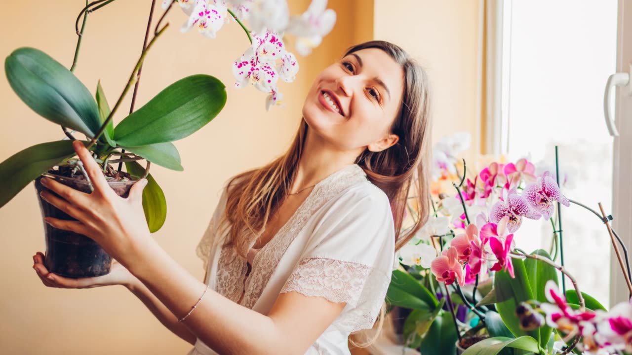 Orchid Potting Mix: The #1 Secret to Stop Killing Your Plants