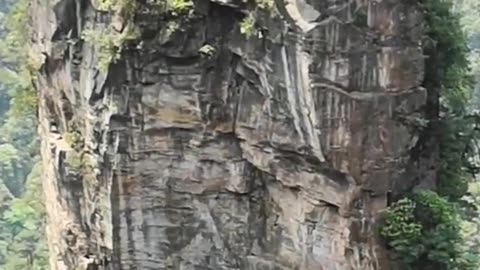 You are the Light. All of You are One