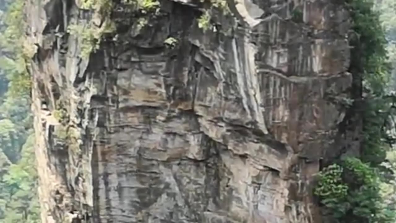 You are the Light. All of You are One