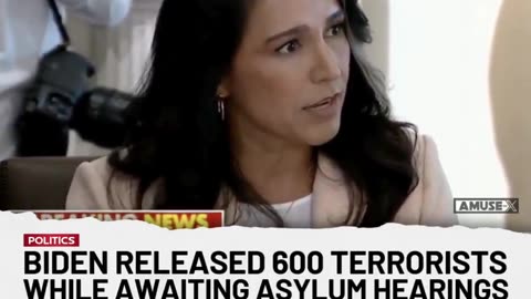 Tulsi Gabbard outlines the hundreds of terrorists released in the US under Biden