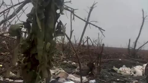 Incredible Footage Looking Across The Zero-Line(Donetsk Front)