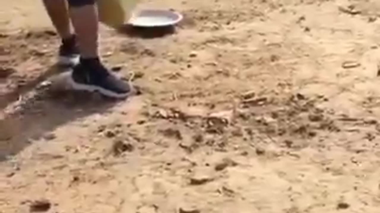 Feeding cheetahs video causes public anger, kind villager suspended.