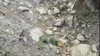 Ukraine war combat footage 9/22/25