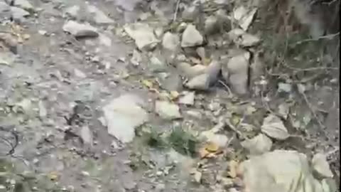 Ukraine war combat footage 9/22/25