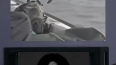 😱👻 You Won't Believe What Just Appeared! | TheHauntingHour