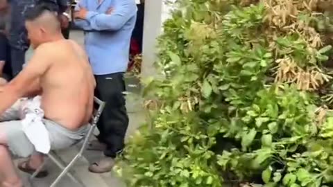 funny videos
