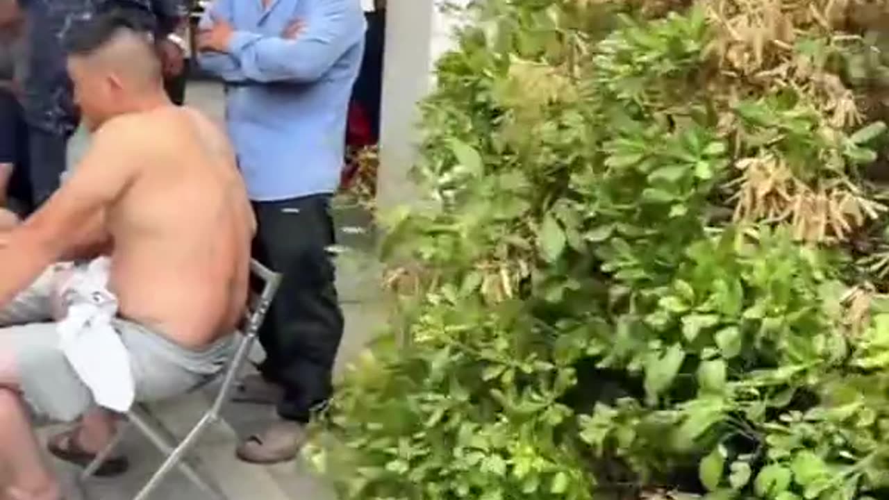 funny videos