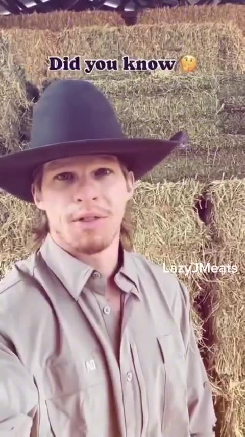 Over 1,300 strands of DNA found in a single hamburger patty sold at McDonald’s.