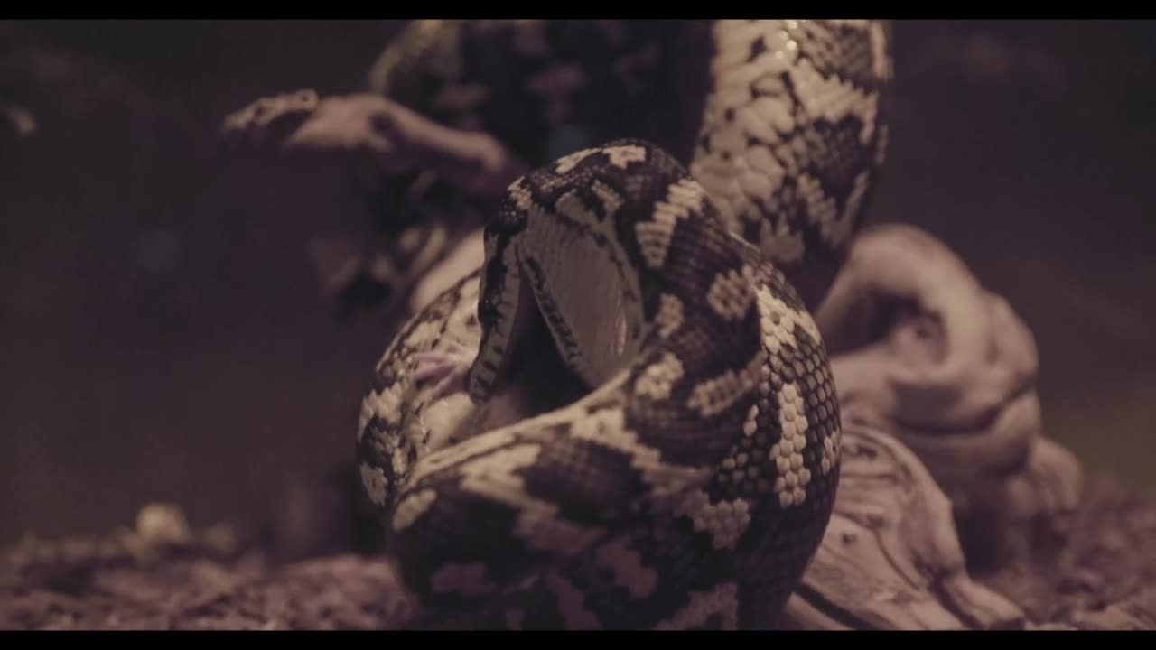 Lord knows, there are always consequences... Watch. Learn. Survive.