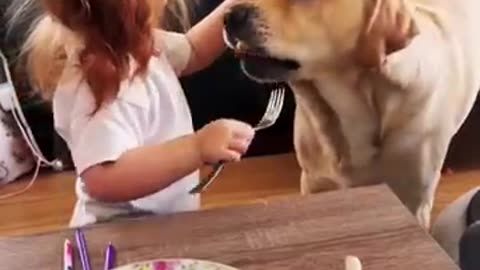 Feeding human food