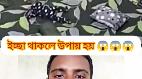 💫 ইচ্ছা থাকলে উপায় হয় | Miracle of Faith | আল্লাহ যাকে রাখেন তাকে কেউ ফেলতে পারে না 🌙
