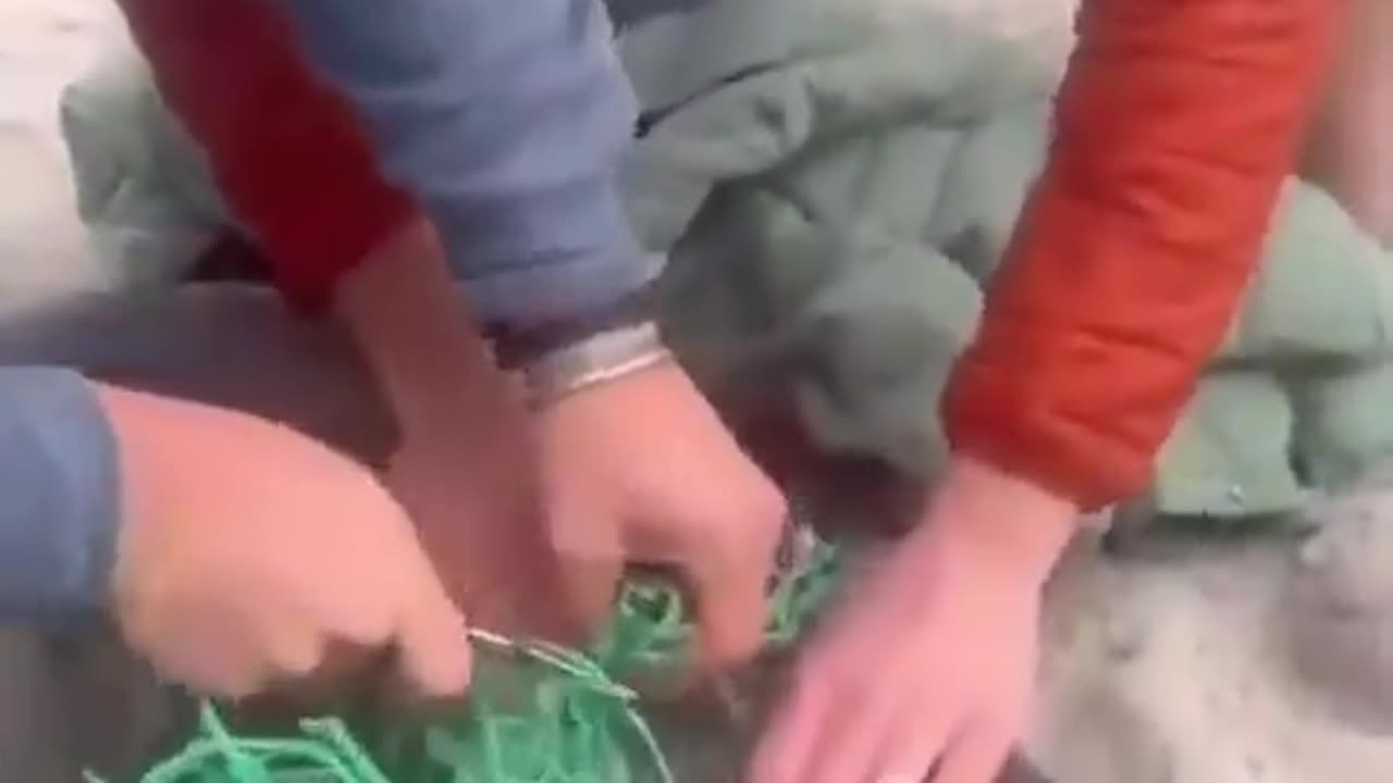 Your daily reminder that this is what your plastic does to ocean life.
