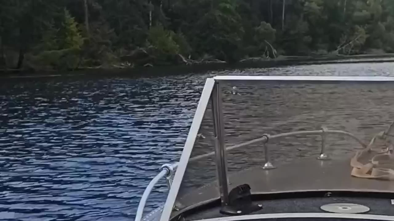 Boat trips