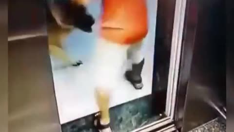 Dog Bites pajeet's Balls! Good dog! 😂🐶😂