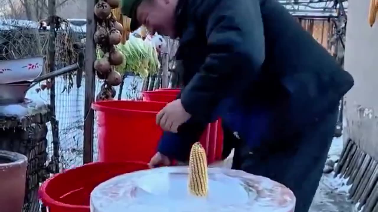 Nature’s Perfect Ice Barrel ❄️✨