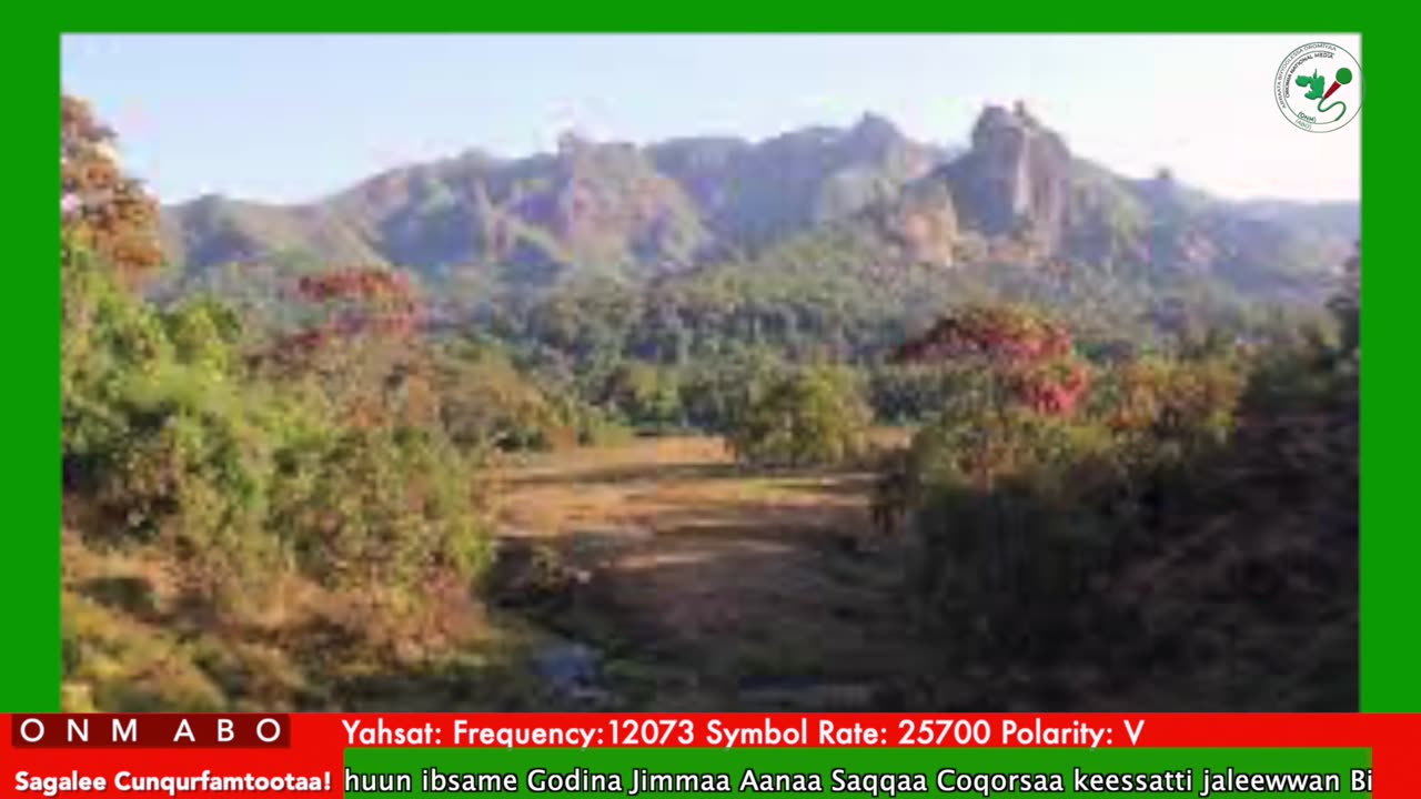 Oduu Waaree ONM-ABO Fulbaana 15-2025 itti dhiyaadhaa!