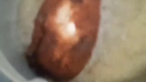 Fried Brioche vegetarian, with meat, or your own twist!