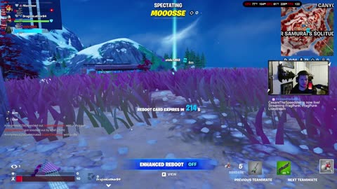 Gaming Livestream