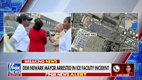 Dems arrested breaking into ICE facility - Alina's statment
