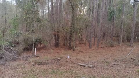 K98 Mauser (Sporterized) First Shot