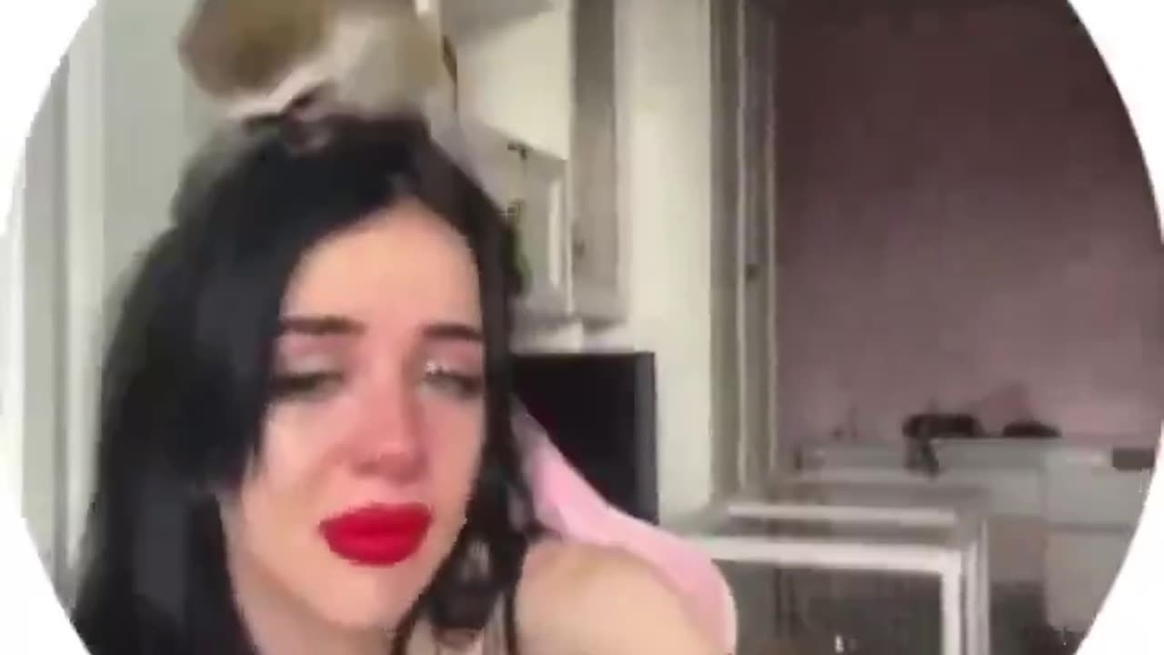 One of the greatest videos of all time.