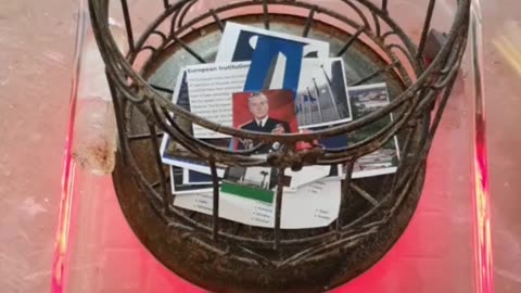 Tim Rifat TikTok Videos