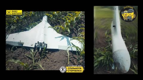 🛡️🛸 Ukraine Russia War | Posipaki FPV Drones Down Delta Drones | RCF