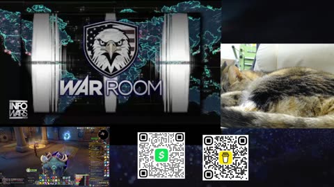 Infowars now with cat cam. Lol