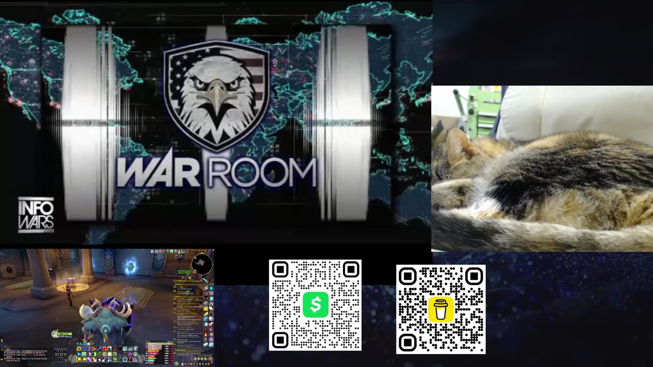 Infowars now with cat cam. Lol