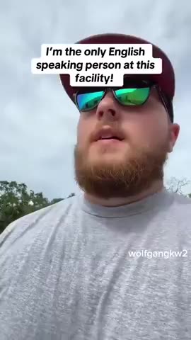 Jew government is replacing you Goyim