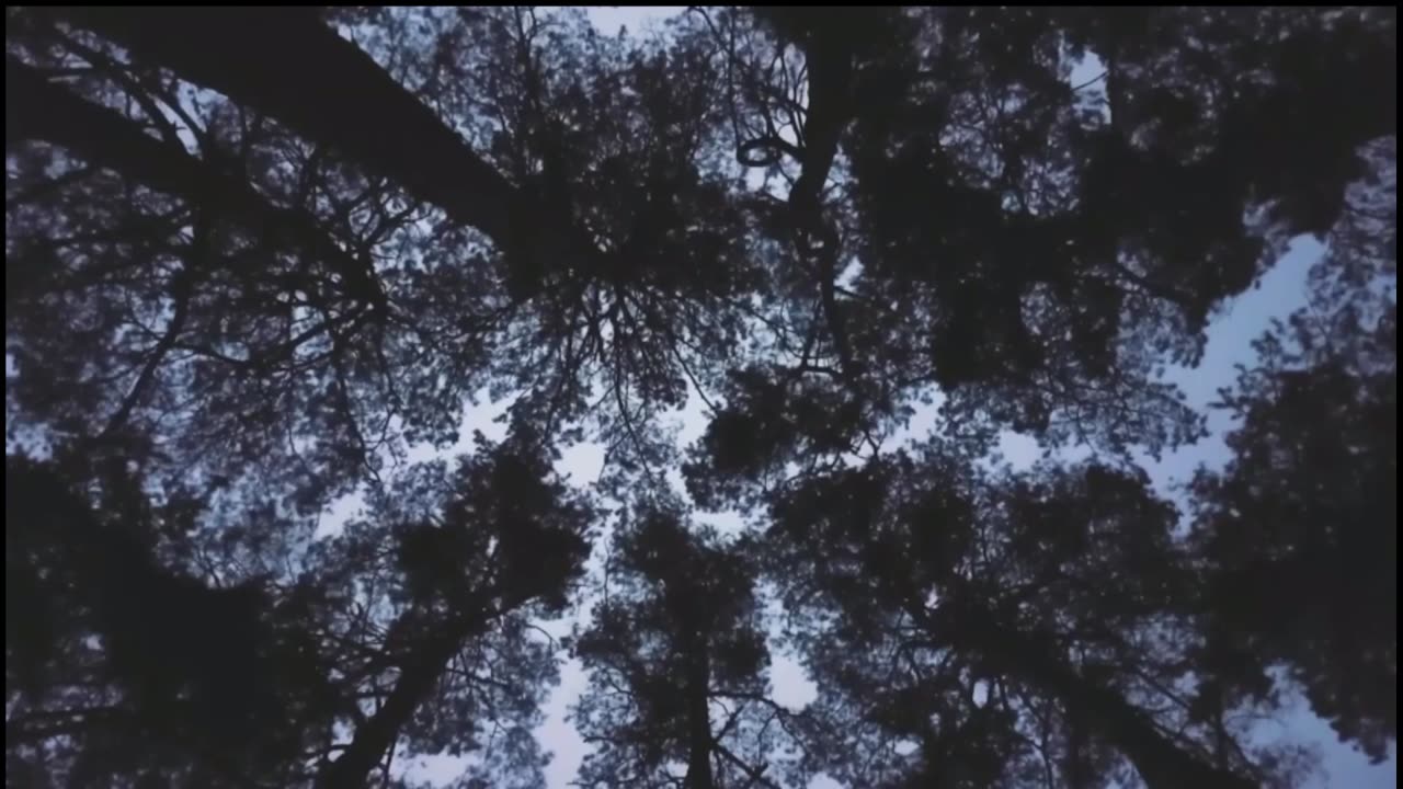 Is Nicolas Cage a Time Traveler