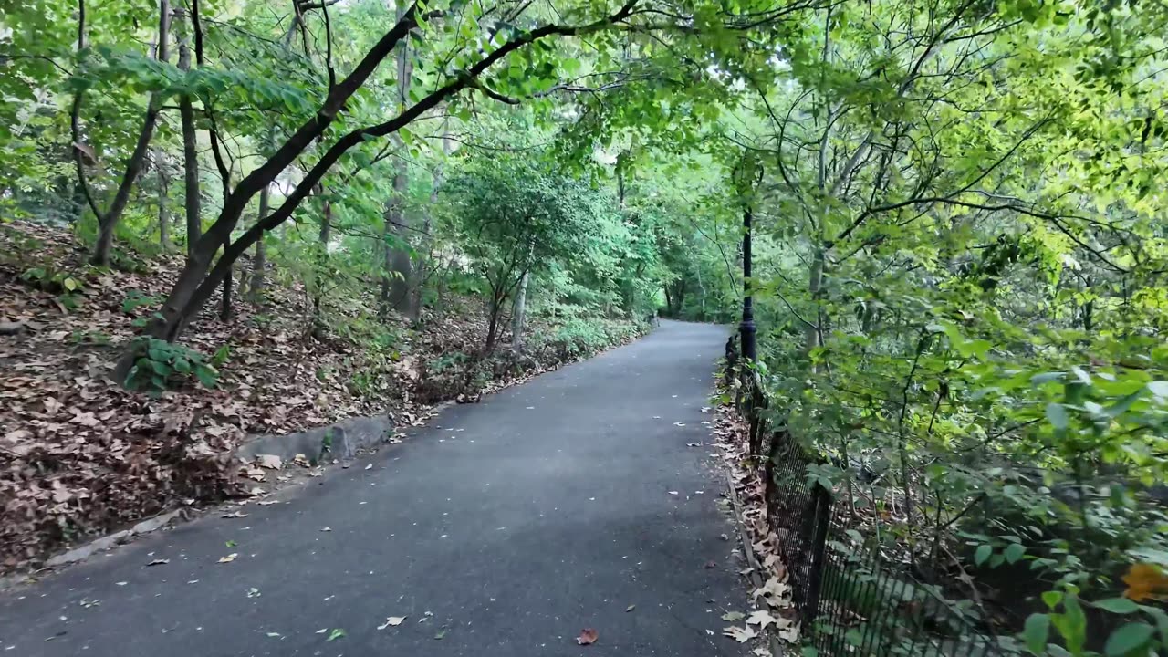 🗽 NYC Live 🔴 Walk (Chat on YouTube)